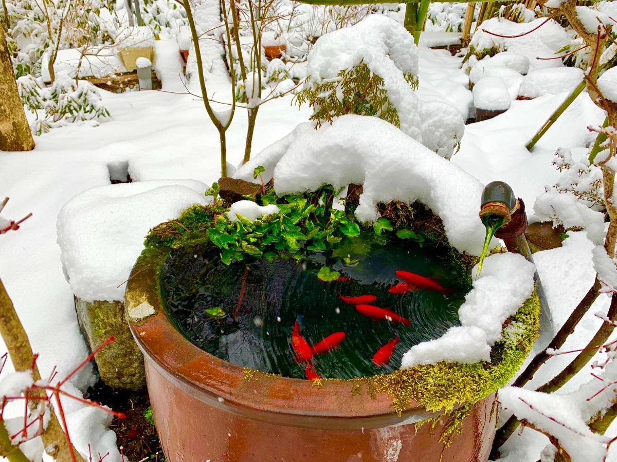 Kirishimaya Ryokan Кусацу Екстер'єр фото